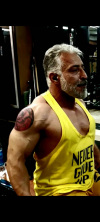 محمد حسین فرائی