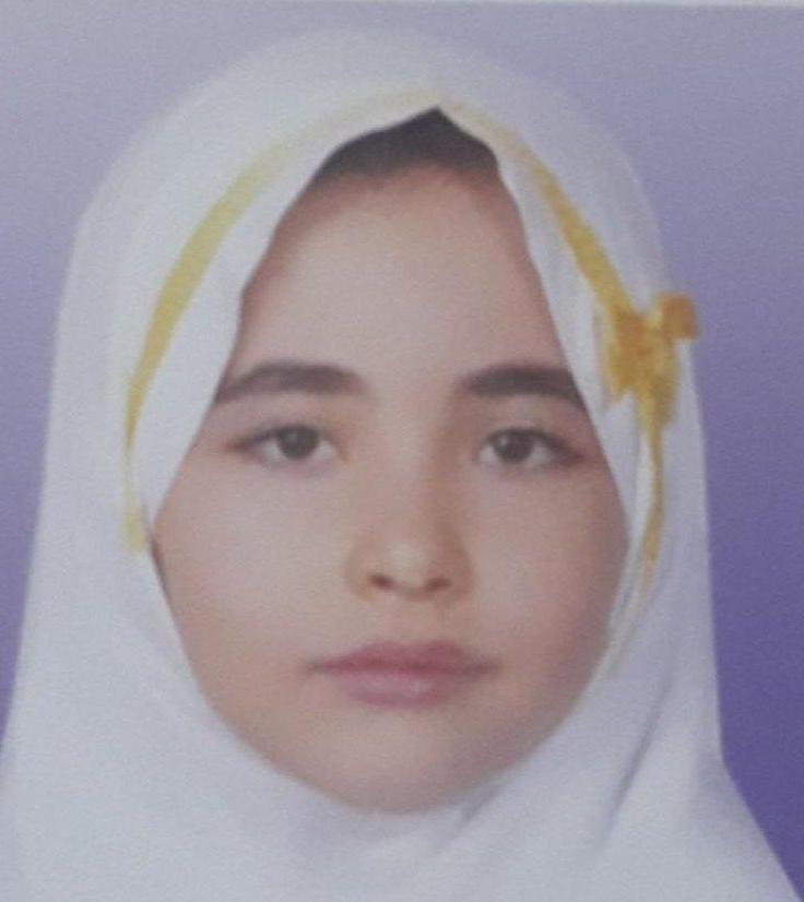 ستایش قدمی