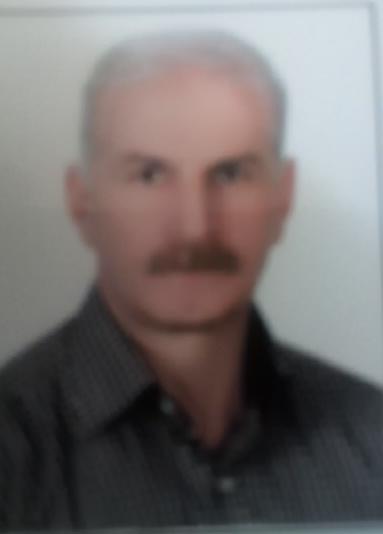 فواد حسنی