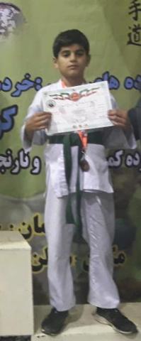 پارسا مقدادی