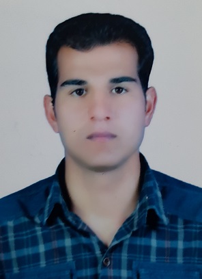علی روستایی