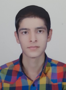 محمود فلاحتی