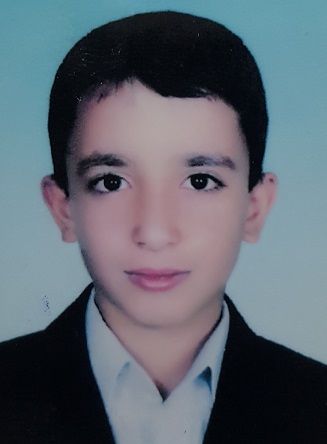 رضا سلیمی