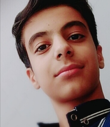 مهدی اسلامی