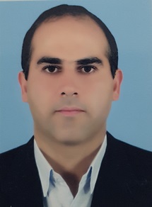 حامد وفایی