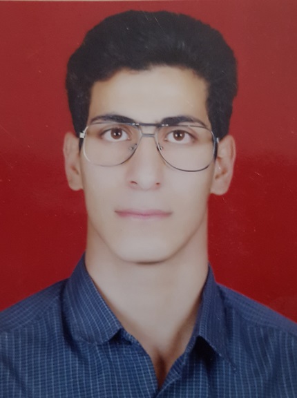هادی فلاح