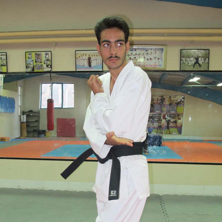 سیدمحمد باقر میرافضلی تفت