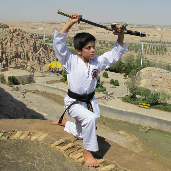 حسین فهیمی