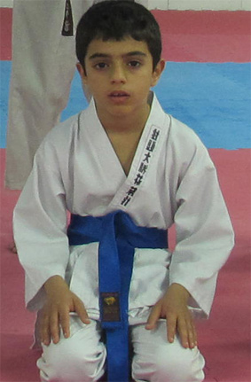 محمد حسین دهقانی سانیچ