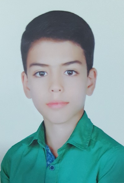 سید محمد مهدی طبائی